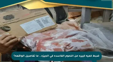 ضبط كمية كبيرة من اللحوم الفاسدة في الجيزة.. ما تفاصيل الواقعة؟